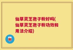 仙草灵芝孢子粉好吗(仙草灵芝孢子粉功效和用法介绍)