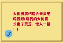 大树根腐朽后会长灵芝吗视频(腐朽的大树竟长出了灵芝，惊人一幕！)
