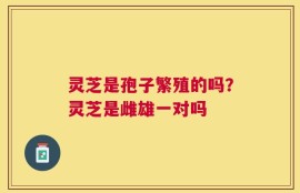 灵芝是孢子繁殖的吗？灵芝是雌雄一对吗