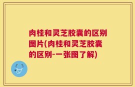 肉桂和灵芝胶囊的区别图片(肉桂和灵芝胶囊的区别-一张图了解)