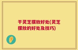 干灵芝摆放好处(灵芝摆放的好处及技巧)