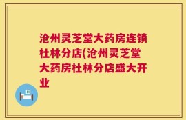沧州灵芝堂大药房连锁杜林分店(沧州灵芝堂大药房杜林分店盛大开业