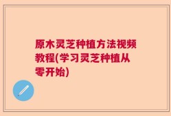 原木灵芝种植方法视频教程(学习灵芝种植从零开始)
