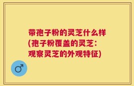 带孢子粉的灵芝什么样(孢子粉覆盖的灵芝：观察灵芝的外观特征)