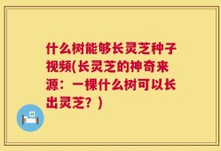 什么树能够长灵芝种子视频(长灵芝的神奇来源：一棵什么树可以长出灵芝？)