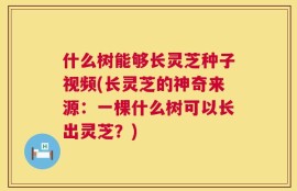 什么树能够长灵芝种子视频(长灵芝的神奇来源：一棵什么树可以长出灵芝？)