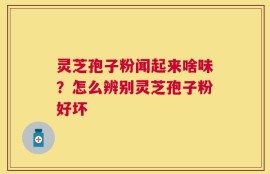 灵芝孢子粉闻起来啥味？怎么辨别灵芝孢子粉好坏