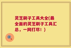 灵芝刷子工具大全(最全面的灵芝刷子工具汇总，一网打尽！)