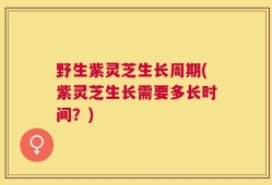 野生紫灵芝生长周期(紫灵芝生长需要多长时间？)