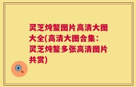 灵芝炖鳖图片高清大图大全(高清大图合集：灵芝炖鳖多张高清图片共赏)