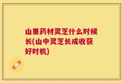 山里药材灵芝什么时候长(山中灵芝长成收获好时机)