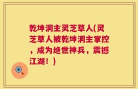 乾坤洞主灵芝草人(灵芝草人被乾坤洞主掌控，成为绝世神兵，震撼江湖！)