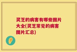 灵芝的病害有哪些图片大全(灵芝常见的病害图片汇总)
