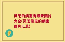 灵芝的病害有哪些图片大全(灵芝常见的病害图片汇总)