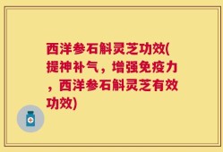 西洋参石斛灵芝功效(提神补气，增强免疫力，西洋参石斛灵芝有效功效)