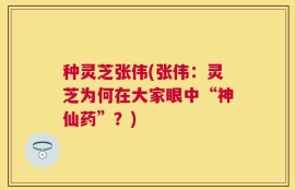 种灵芝张伟(张伟：灵芝为何在大家眼中“神仙药”？)