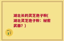 湖北长的灵芝孢子粉(湖北灵芝孢子粉：秘密武器？)