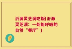 沂源灵芝洞吃饭(沂源灵芝洞：一处能呼吸的自然“餐厅”)