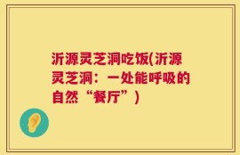 沂源灵芝洞吃饭(沂源灵芝洞：一处能呼吸的自然“餐厅”)