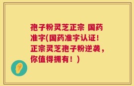 孢子粉灵芝正宗 国药准字(国药准字认证！正宗灵芝孢子粉逆袭，你值得拥有！)