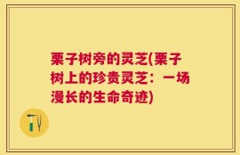 栗子树旁的灵芝(栗子树上的珍贵灵芝：一场漫长的生命奇迹)