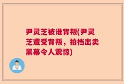 尹灵芝被谁背叛(尹灵芝遭受背叛，拍档出卖黑幕令人震惊)