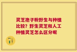 灵芝孢子粉野生与种植比较？野生灵芝和人工种植灵芝怎么区分呢