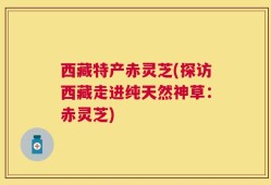 西藏特产赤灵芝(探访西藏走进纯天然神草：赤灵芝)