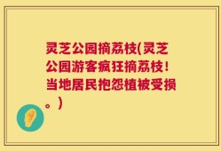 灵芝公园摘荔枝(灵芝公园游客疯狂摘荔枝！当地居民抱怨植被受损。)