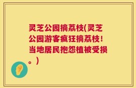 灵芝公园摘荔枝(灵芝公园游客疯狂摘荔枝！当地居民抱怨植被受损。)