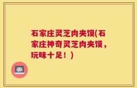 石家庄灵芝肉夹馍(石家庄神奇灵芝肉夹馍，玩味十足！)