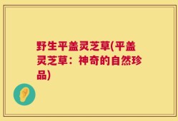 野生平盖灵芝草(平盖灵芝草：神奇的自然珍品)