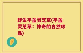野生平盖灵芝草(平盖灵芝草：神奇的自然珍品)