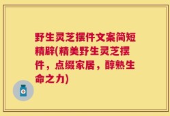 野生灵芝摆件文案简短精辟(精美野生灵芝摆件，点缀家居，醇熟生命之力)