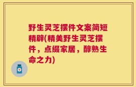 野生灵芝摆件文案简短精辟(精美野生灵芝摆件，点缀家居，醇熟生命之力)