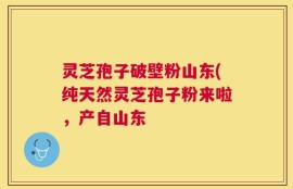 灵芝孢子破壁粉山东(纯天然灵芝孢子粉来啦，产自山东