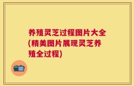 养殖灵芝过程图片大全(精美图片展现灵芝养殖全过程)