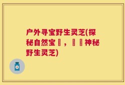 户外寻宝野生灵芝(探秘自然宝庫，發現神秘野生灵芝)