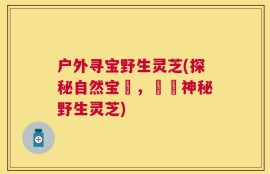 户外寻宝野生灵芝(探秘自然宝庫，發現神秘野生灵芝)