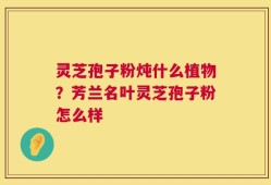 灵芝孢子粉炖什么植物？芳兰名叶灵芝孢子粉怎么样