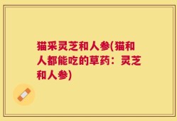 猫采灵芝和人参(猫和人都能吃的草药：灵芝和人参)