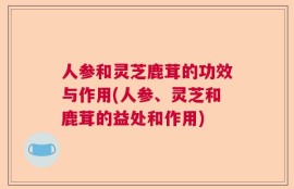 人参和灵芝鹿茸的功效与作用(人参、灵芝和鹿茸的益处和作用)