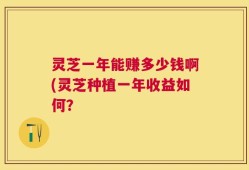 灵芝一年能赚多少钱啊(灵芝种植一年收益如何？