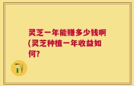 灵芝一年能赚多少钱啊(灵芝种植一年收益如何？