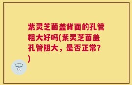 紫灵芝菌盖背面的孔管粗大好吗(紫灵芝菌盖孔管粗大，是否正常？)