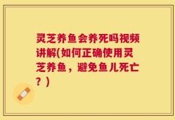 灵芝养鱼会养死吗视频讲解(如何正确使用灵芝养鱼，避免鱼儿死亡？)
