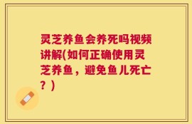 灵芝养鱼会养死吗视频讲解(如何正确使用灵芝养鱼，避免鱼儿死亡？)