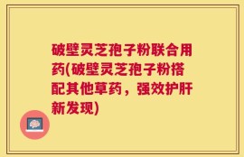 破壁灵芝孢子粉联合用药(破壁灵芝孢子粉搭配其他草药，强效护肝新发现)
