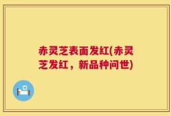 赤灵芝表面发红(赤灵芝发红，新品种问世)