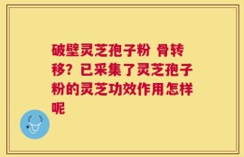 破壁灵芝孢子粉 骨转移？已采集了灵芝孢子粉的灵芝功效作用怎样呢